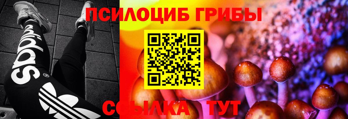 Галлюциногенные грибы мицелий Бугуруслан