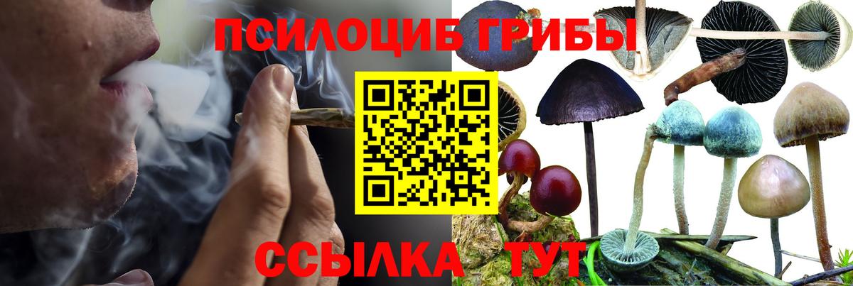 Псилоцибиновые грибы ЛСД  Вход с VPN  Бугуруслан  Псилоцибиновые грибы ЛСД 